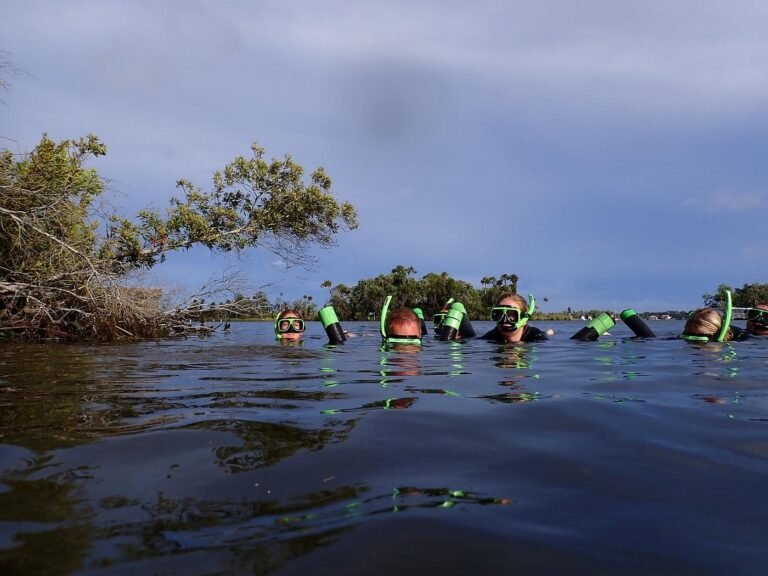 Manufactured homes for rent, homes, mobile homes, modern, caption, living