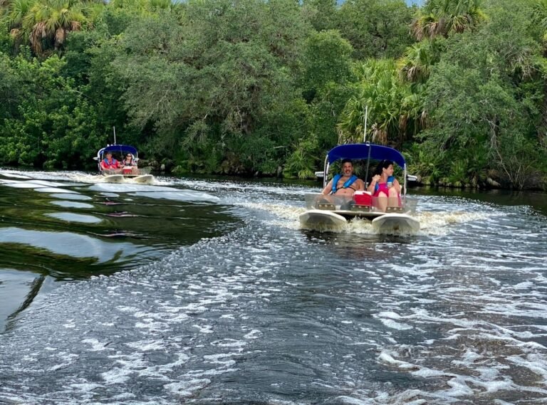 modern, safe, mhp, caption, Manufactured homes for sale, Parakeet Communities