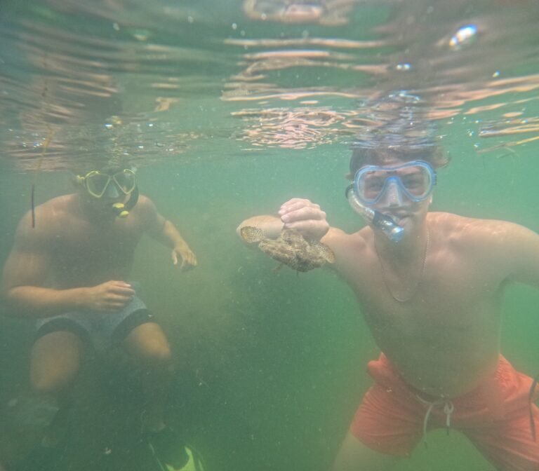 homes, living, Manufactured homes, mobile homes, mhp, caption