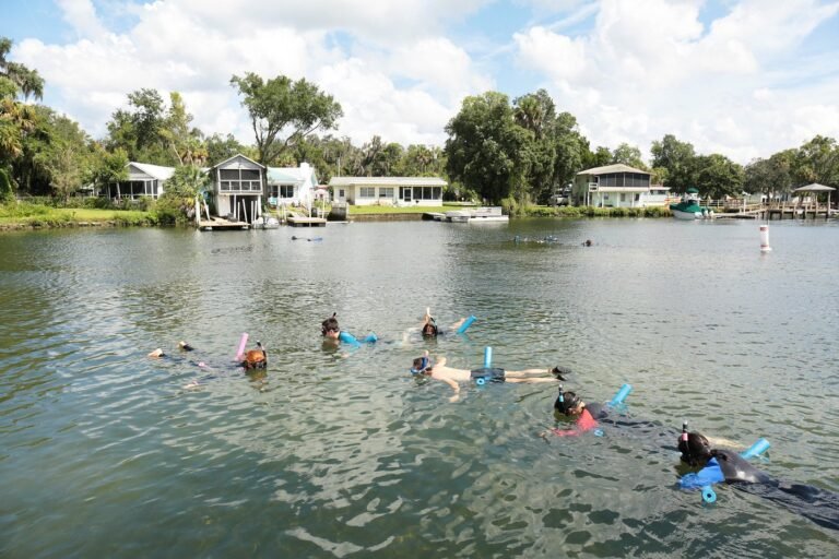 living, modern, Parakeet Communities, safe, crystalrivertourwith, Steps to finding a new home