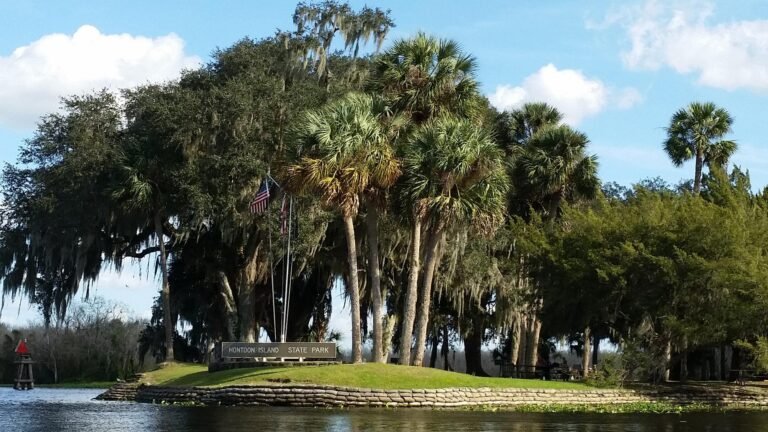 homes, living, Parakeet Communities, hontoonislandstate, Manufactured homes for rent, modern