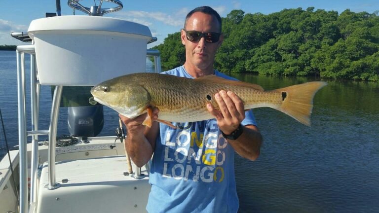 mhp, mobile homes, homes, Steps to finding a new home, partlargejpg, living