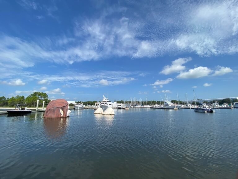 Manufactured homes for rent, mobile homes, safe, theladyinthewater, comfortable, homes