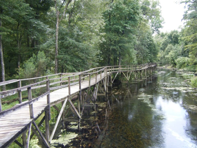 Manufactured homes for rent, comfortable, living, Steps to finding a new home, safe, boardwalk