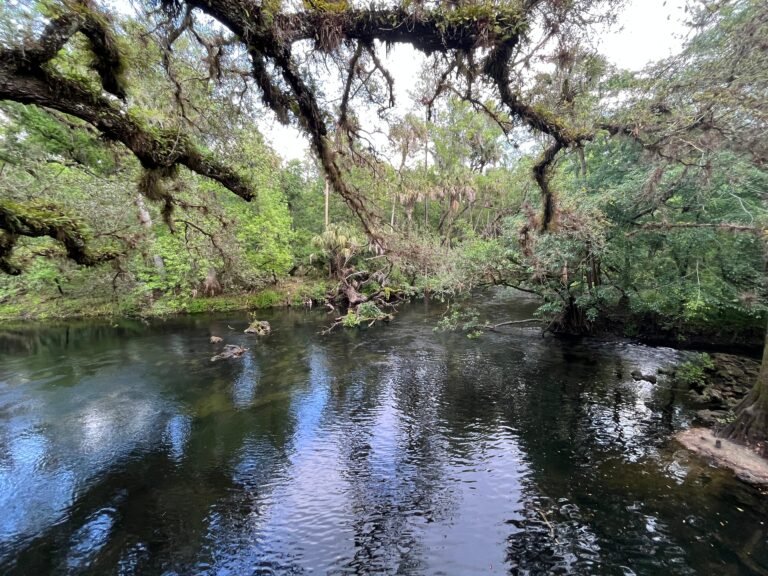 safe, Steps to finding a new home, comfortable, mobile homes, modern, caption