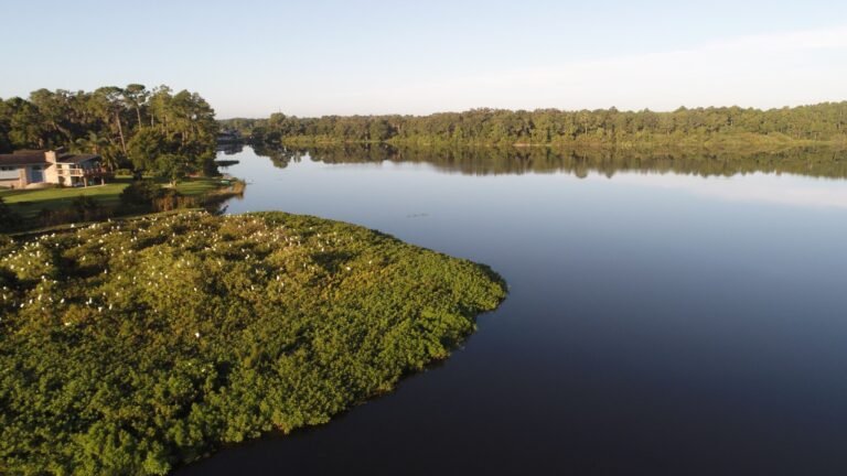 mhp, justaroundthecorner, homes, mobile homes, safe, Parakeet Communities