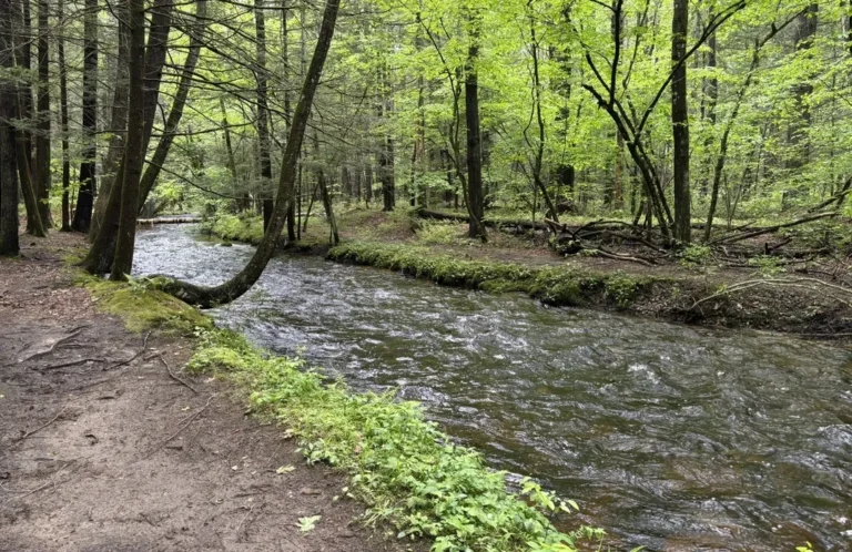 modern, mhp, Steps to finding a new home, Manufactured homes for rent, safe, lane conservation