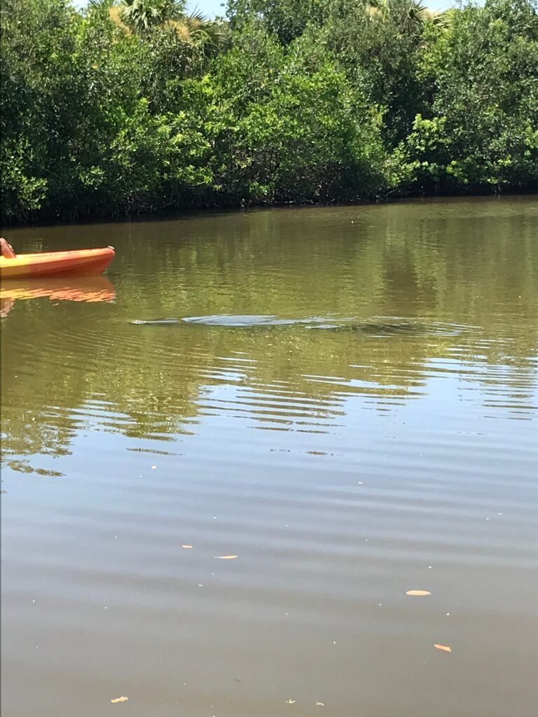 mhp, modern, comfortable, Steps to finding a new home, manateecovepark, Manufactured homes for sale